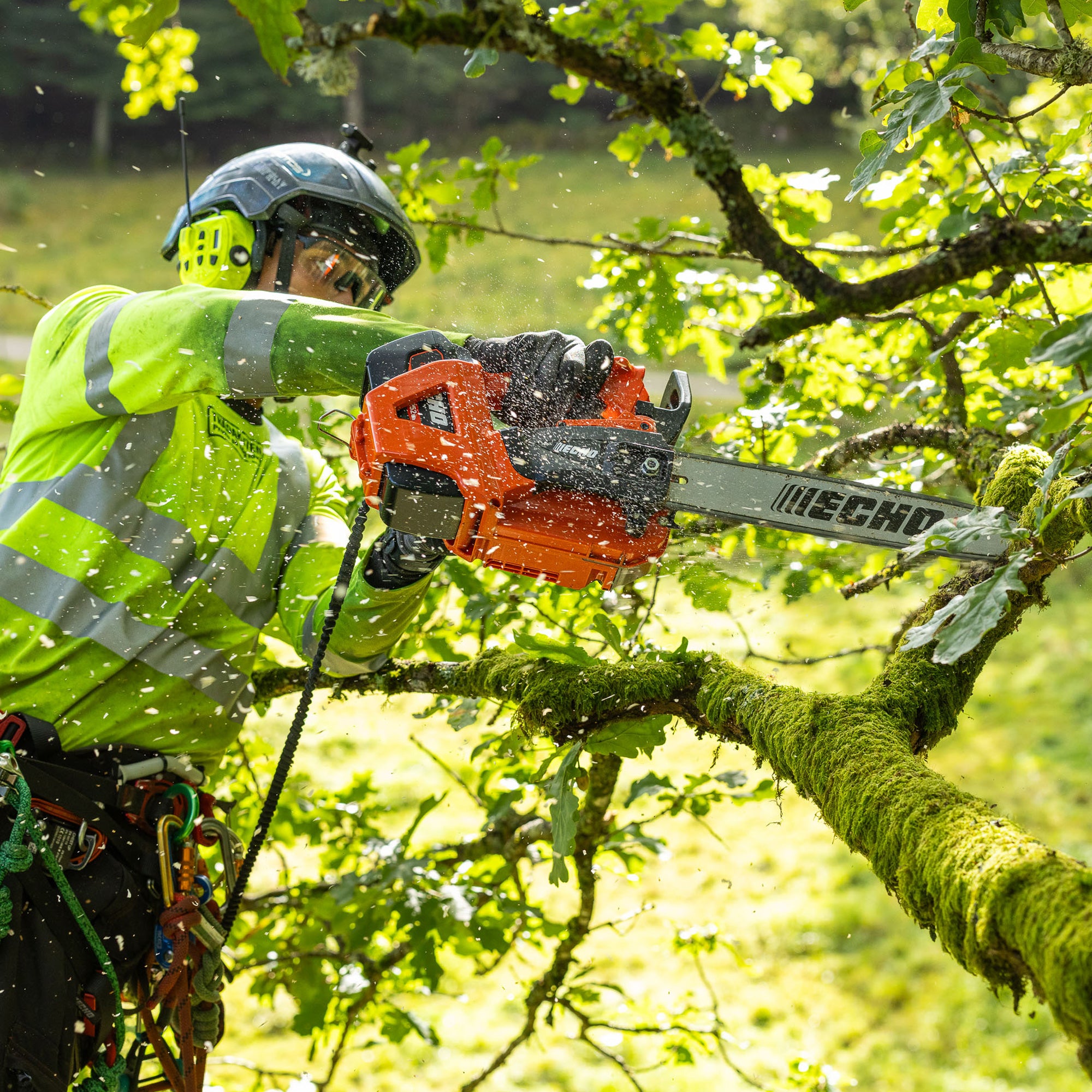 56V Top handle chainsaw | ECHO Tools