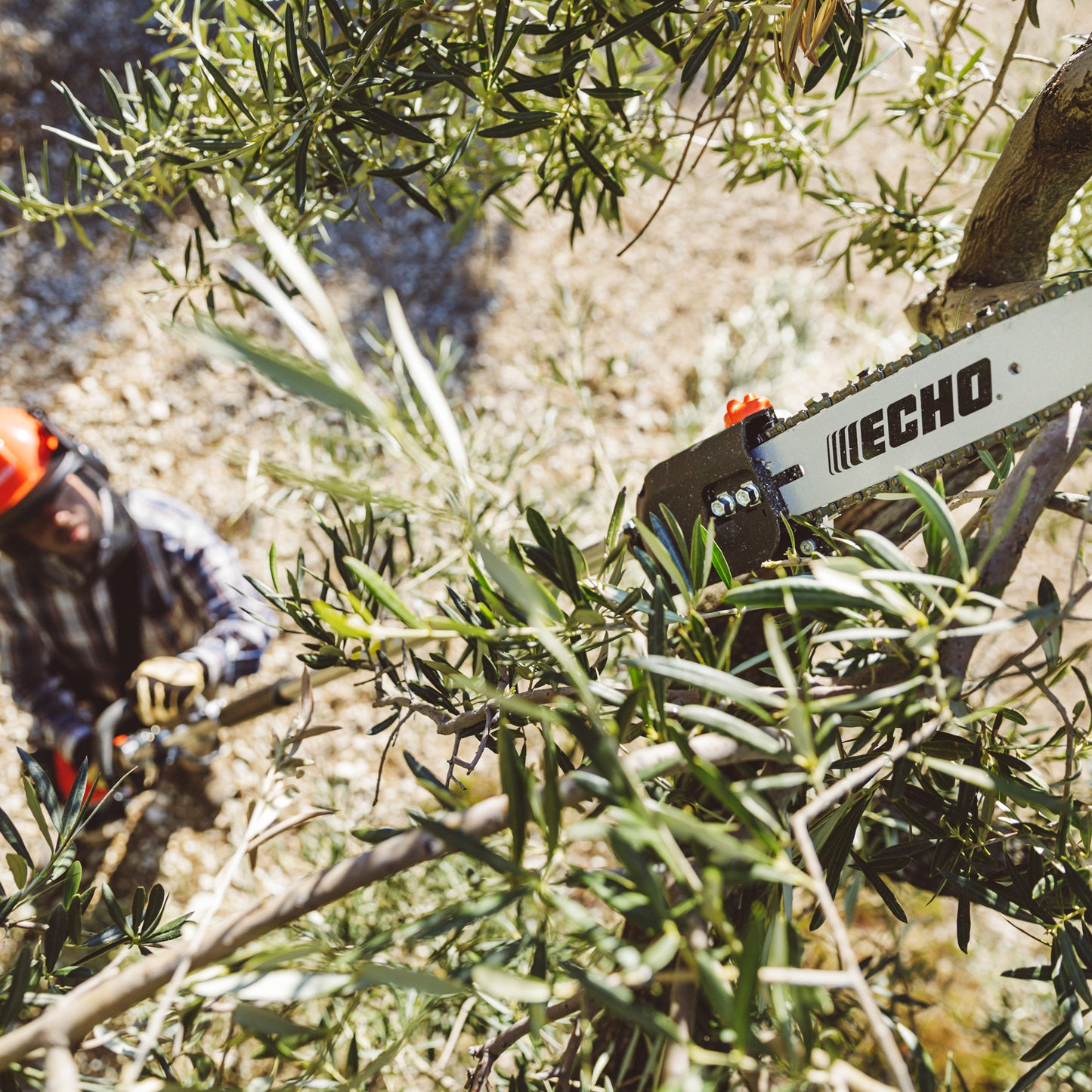 MTA-PP/E Pruner Attachment